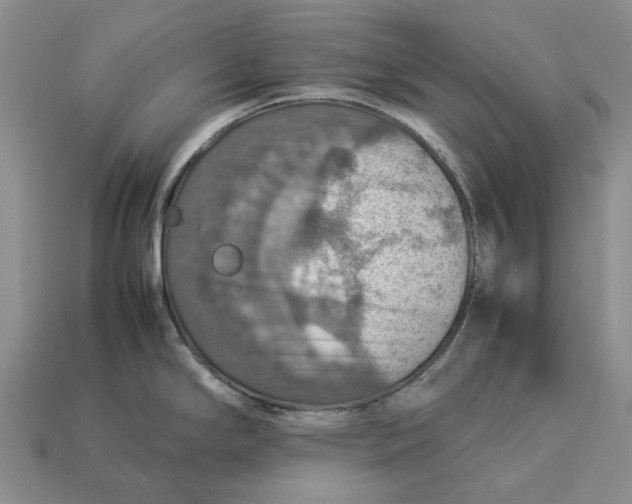 X0000112771294200909101543