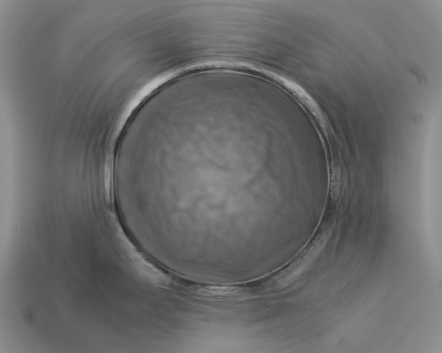 X0000112771295200909101543