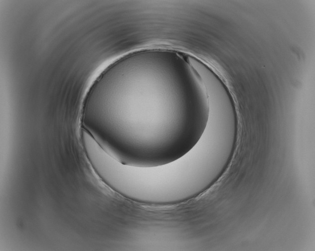 X0000112771296200909101543