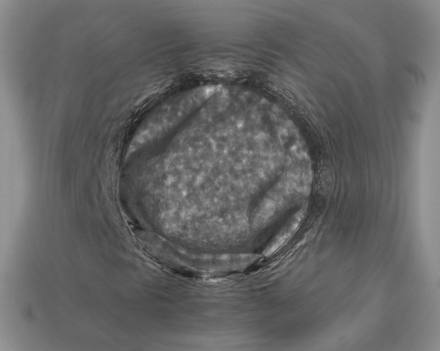 X0000112771297200909101542