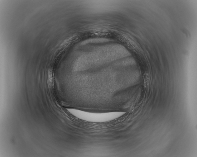 X0000112771298200909101542