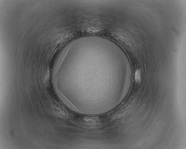 X0000112771299200909101542