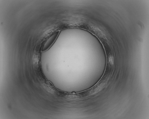 X0000112771300200909101542