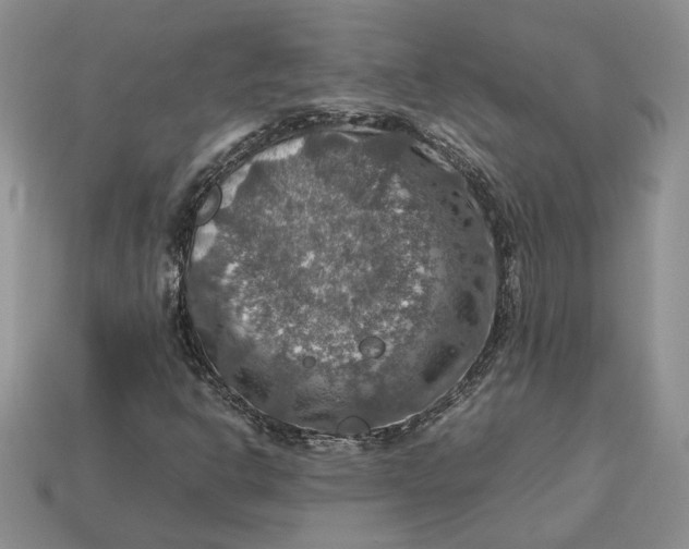 X0000112771302200909101542