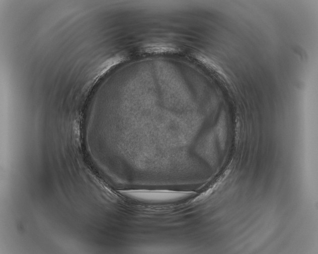 X0000112771305200909101542