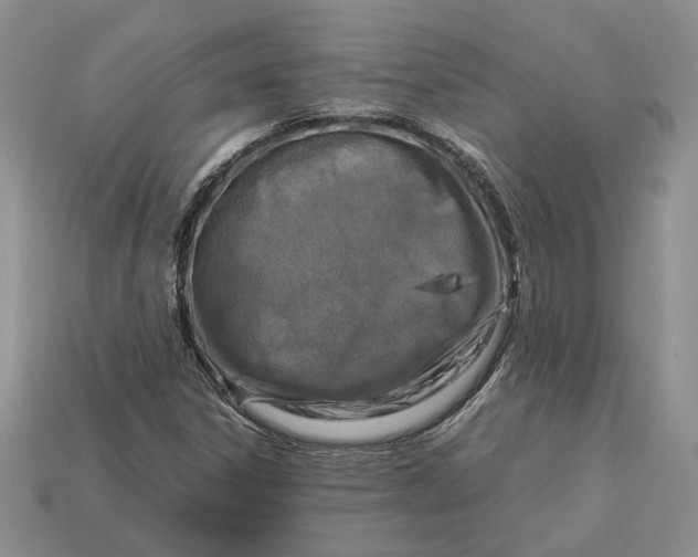 X0000112771306200909101542