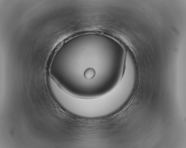 X0000112771308200909101542