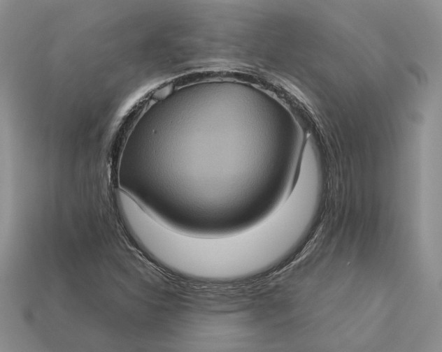 X0000112771310200909101542