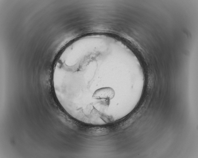 X0000112771314200909101542