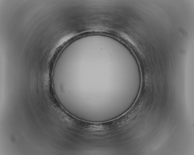 X0000112771315200909101542