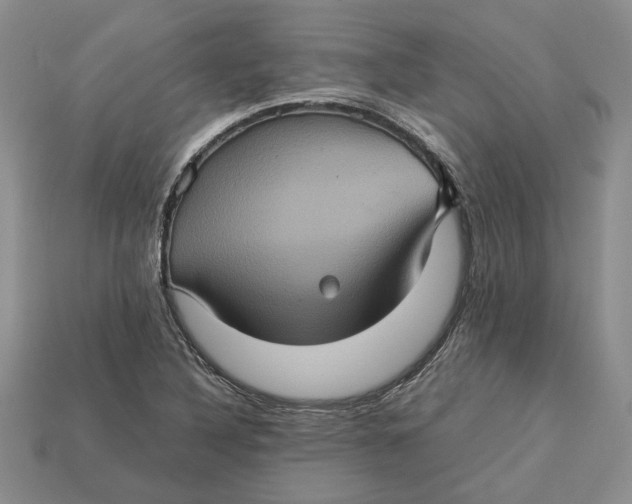 X0000112771316200909101542