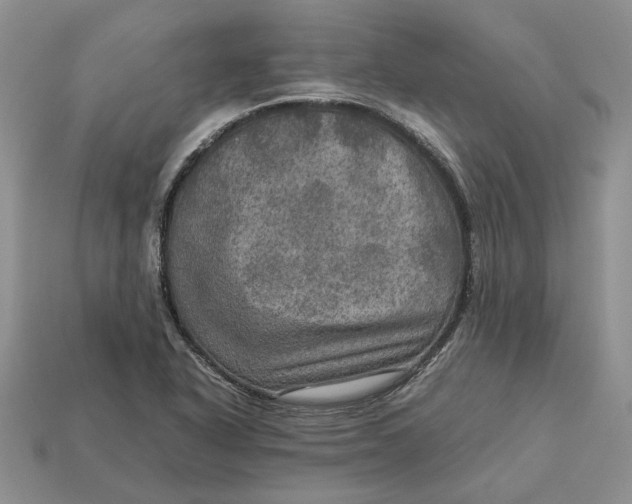 X0000112771318200909101543