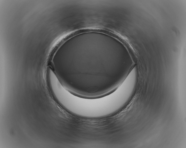 X0000112771319200909101543