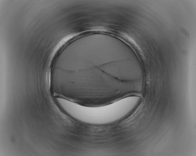 X0000112771323200909101543