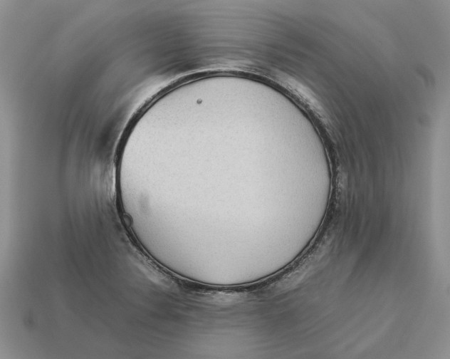 X0000112771324200909101543