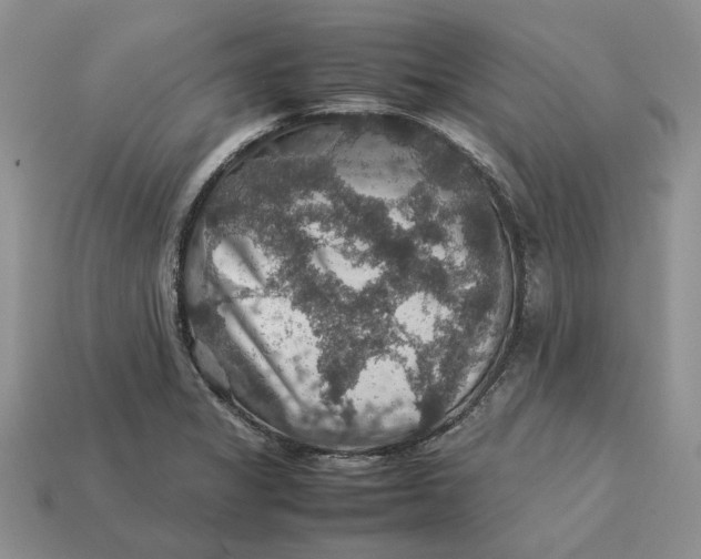 X0000112771325200909101543