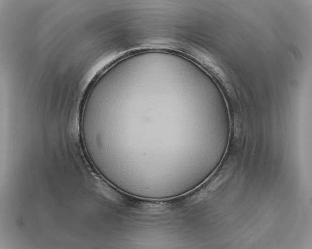 X0000112771328200909101543