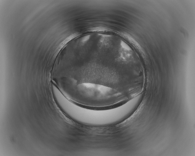 X0000112771329200909101543