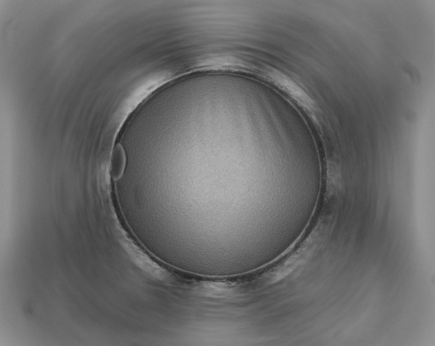 X0000112771330200909101543