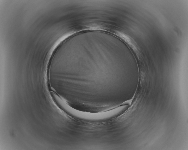 X0000112771331200909101543