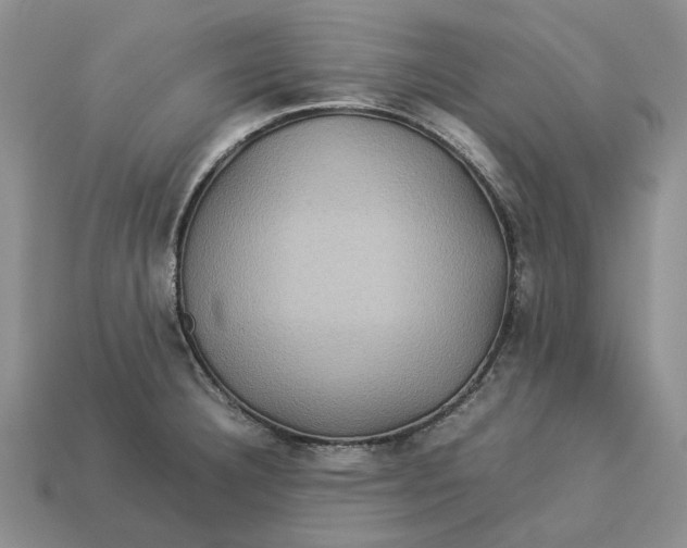 X0000112771332200909101543