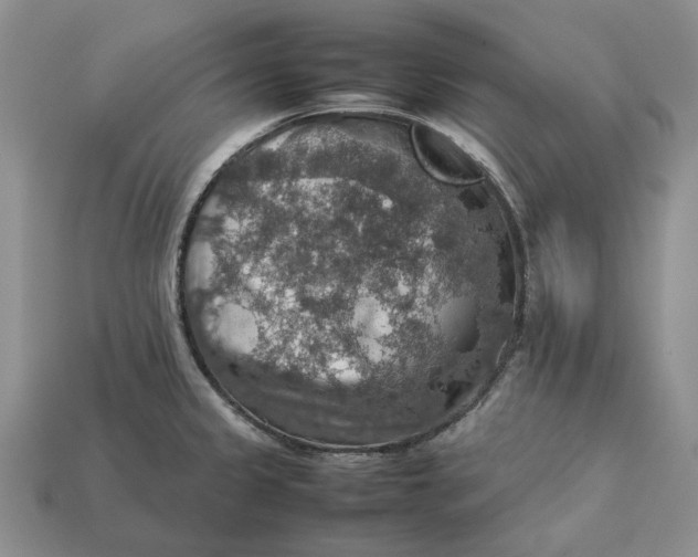 X0000112771333200909101543