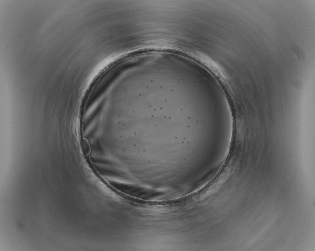 X0000112771334200909101543