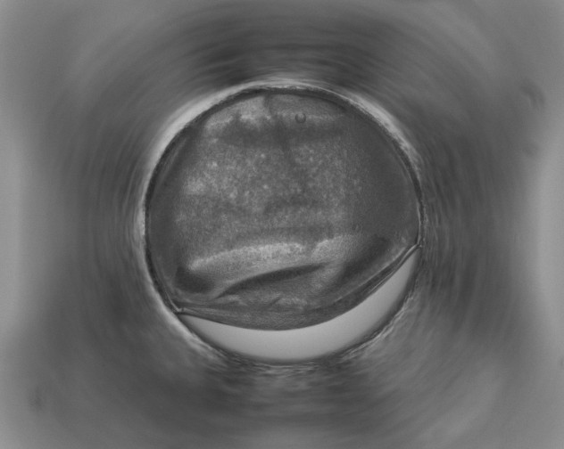 X0000112771335200909101543