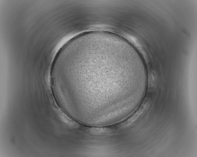 X0000112771336200909101543