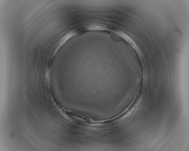 X0000112771337200909101543