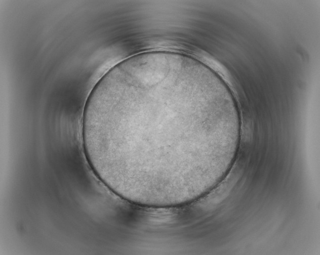 X0000112771338200909101543