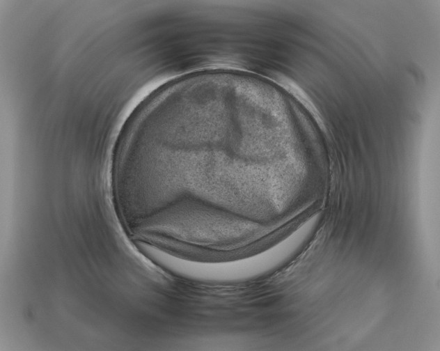 X0000112771339200909101543