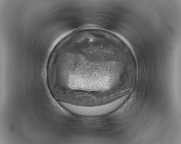 X0000112771341200909101543