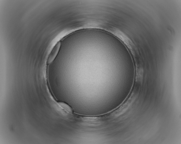 X0000112771342200909101543