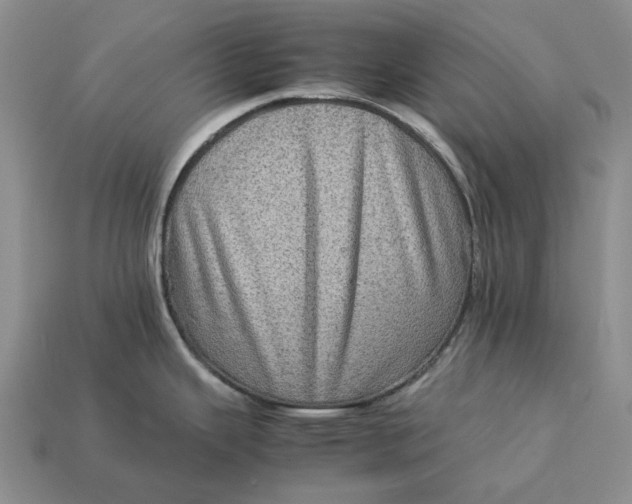 X0000112771343200909101543