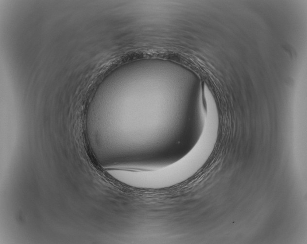 X0000112771345200909101542