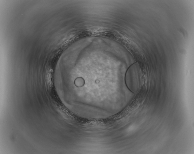 X0000112771346200909101542