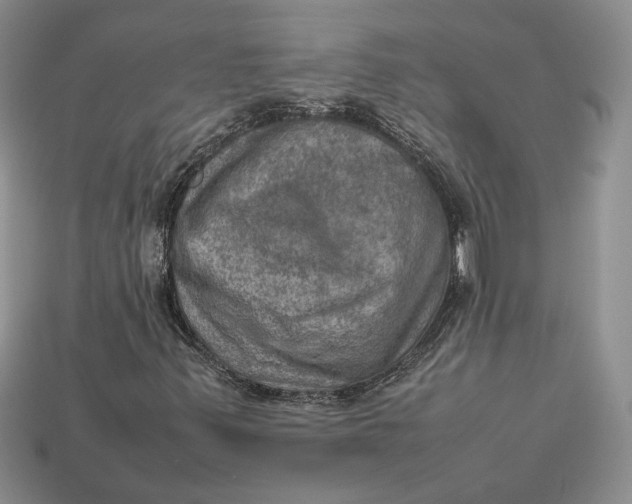 X0000112771347200909101542