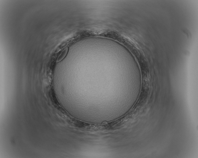 X0000112771349200909101542