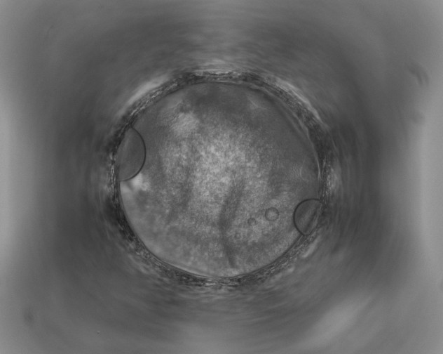 X0000112771350200909101542