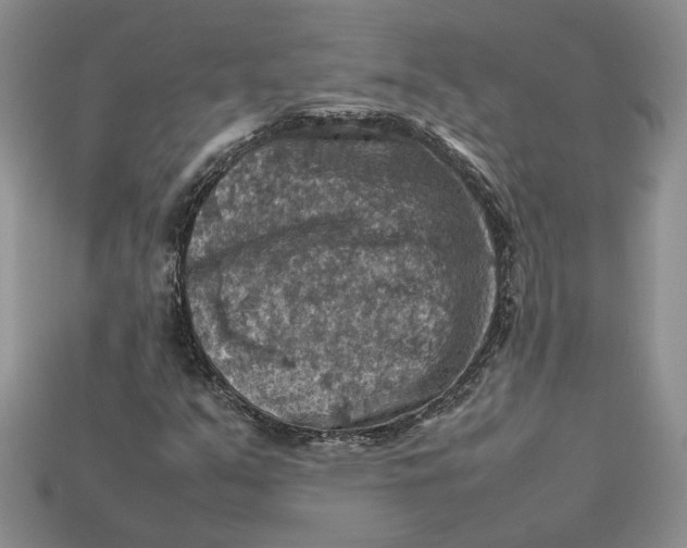 X0000112771351200909101542