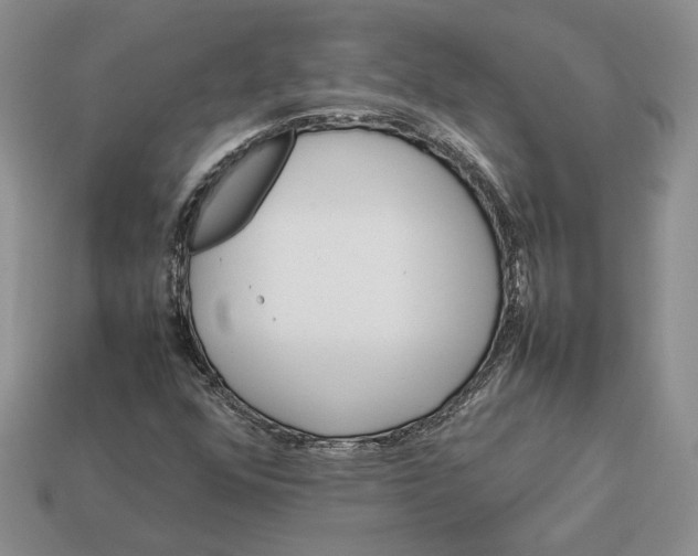 X0000112771352200909101542