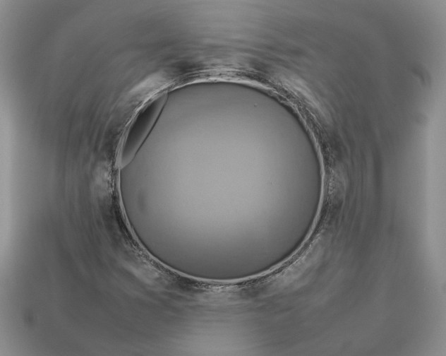 X0000112771353200909101542