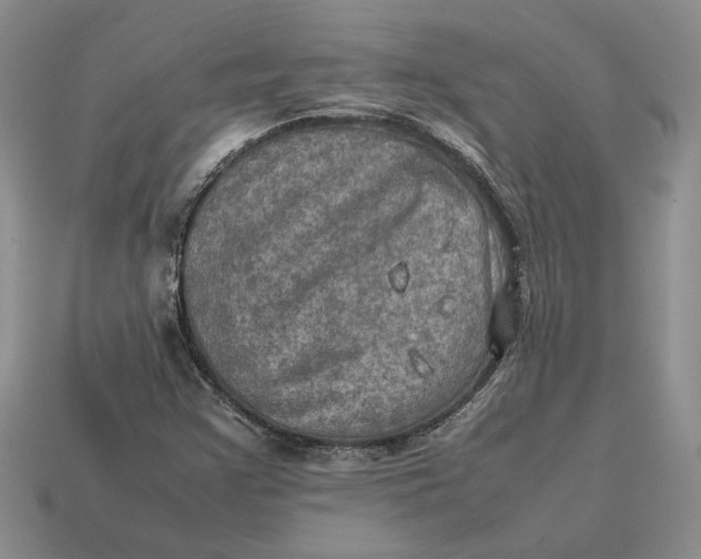 X0000112771355200909101542