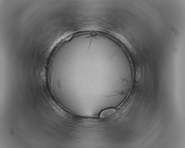 X0000112771356200909101542