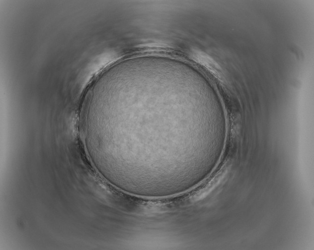 X0000112771357200909101542