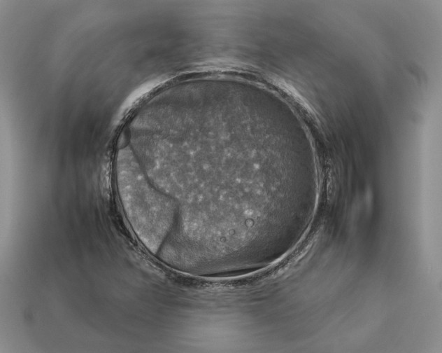 X0000112771358200909101542