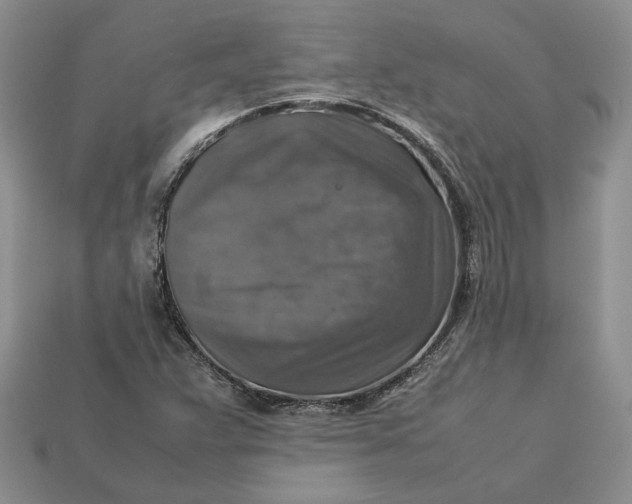 X0000112771359200909101542