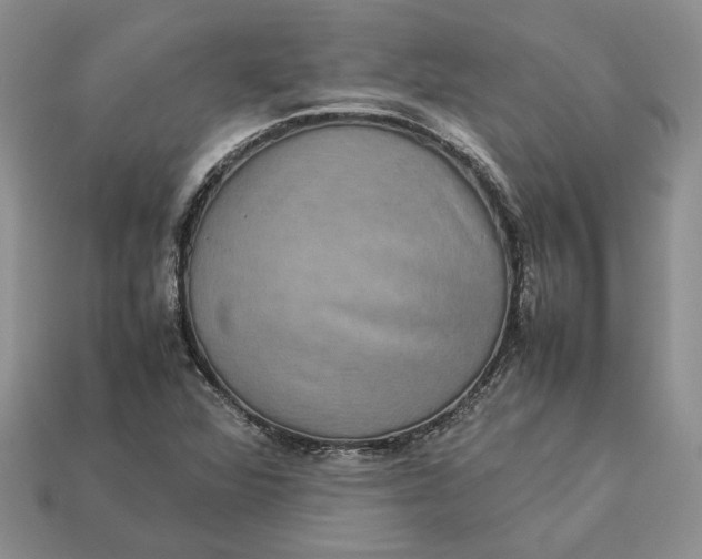 X0000112771360200909101542