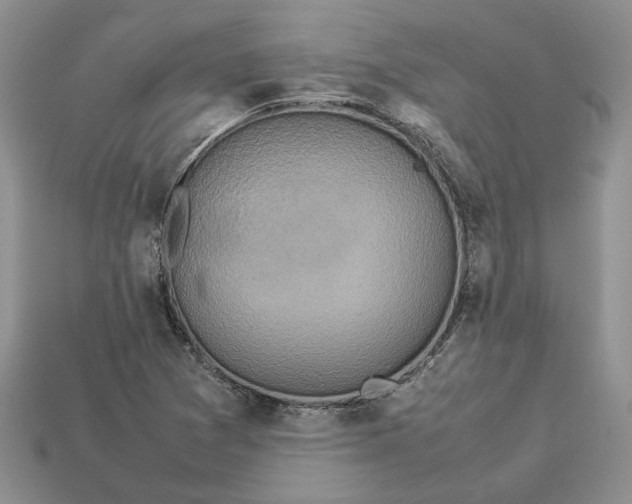 X0000112771361200909101542